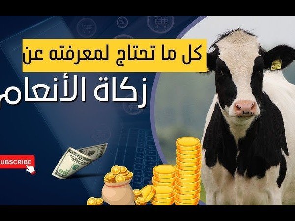 أحكام زكاة الأنعام